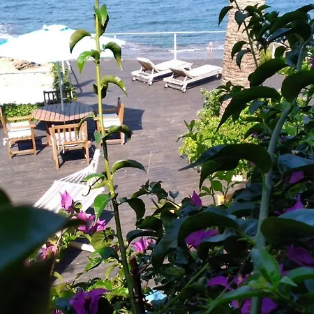 Bed & Breakfast Bed & Breakfast On The Beach Denia *